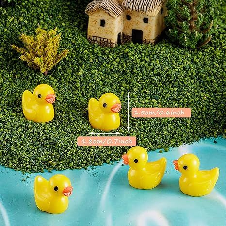 Resin Ducky Coins (25)